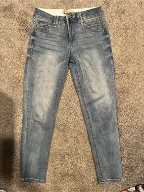 Democracy Light Wash Skinny Jeans